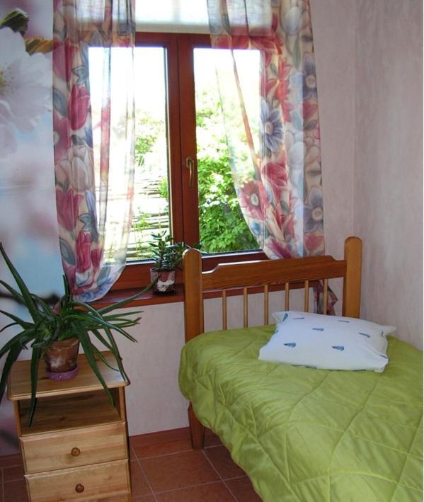 Guest House Vitoli Kolka Εξωτερικό φωτογραφία